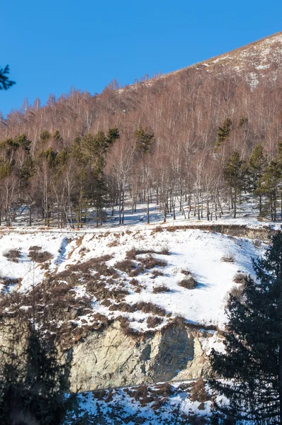 Kazachstan Tien Shan Piękny Krajobraz Widokiem Góry — Zdjęcie stockowe