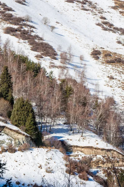 Kazachstan Tien Shan Prachtige Landschap Met Uitzicht Bergen — Stockfoto