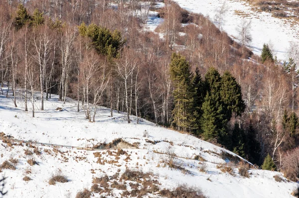 Kazakistan Tien Shan Dağ Manzaralı Güzel Manzara — Stok fotoğraf