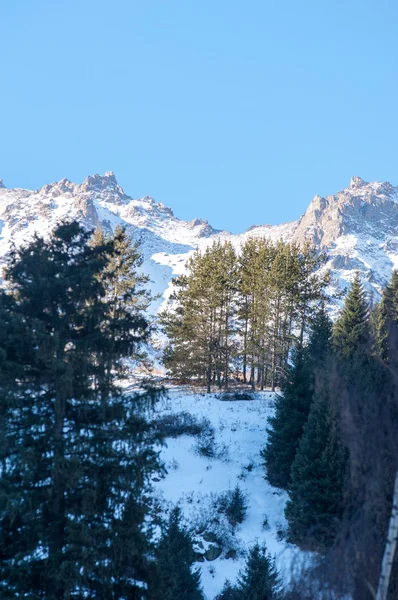 Kazachstan Tien Shan Piękny Krajobraz Widokiem Góry — Zdjęcie stockowe