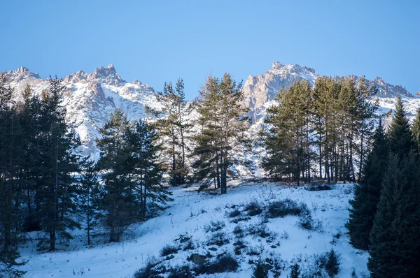 Kazakhstan Tien Shan Beautiful Landscape Mountain Views — Stock Photo, Image