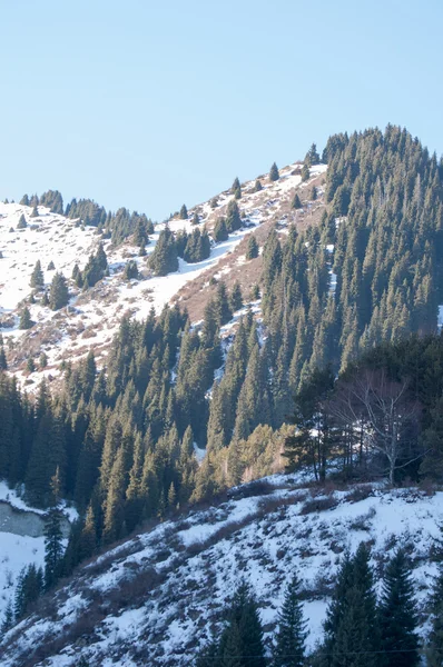 Kazachstan Tien Shan Piękny Krajobraz Widokiem Góry — Zdjęcie stockowe