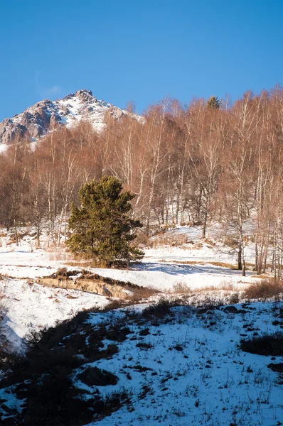 Kazajstán Tien Shan Hermoso Paisaje Con Vistas Montaña —  Fotos de Stock