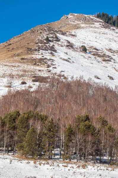 Kazachstan Tien Shan Piękny Krajobraz Widokiem Góry Zimowego Wieczoru — Zdjęcie stockowe