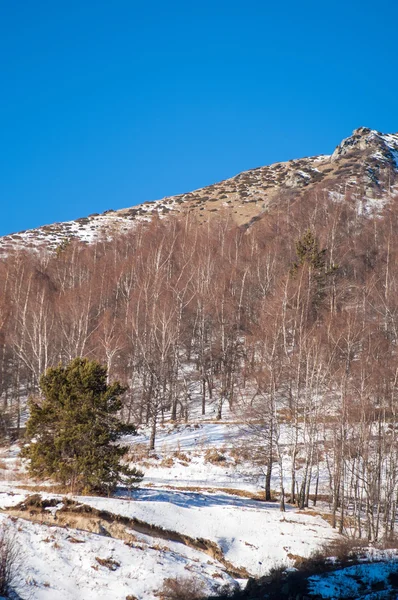 哈萨克斯坦 田北俊山 与山景色的美丽景观 冬天的晚上 — 图库照片