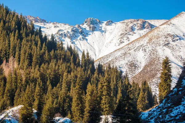 Kazakhstan Tien Shan Beautiful Landscape Mountain Views — Stock Photo, Image