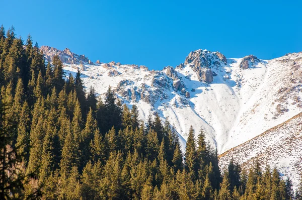 Kazakhstan Tien Shan Beautiful Landscape Mountain Views — Stock Photo, Image