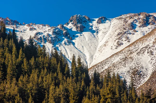 Tien Shan. — Stok fotoğraf