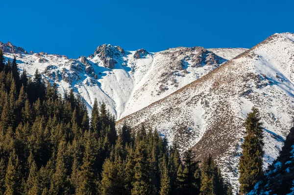 Kazakistan Tien Shan Dağ Manzaralı Güzel Manzara — Stok fotoğraf