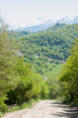 dağ park. Dağlar Almatı, Park'ın ilk Cumhurbaşkanı. Kazakistan