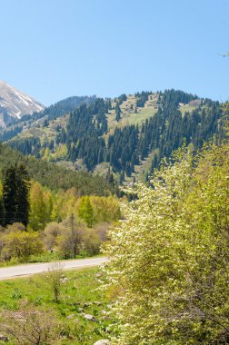 dağ park. Dağlar Almatı, Park'ın ilk Cumhurbaşkanı. Kazakistan