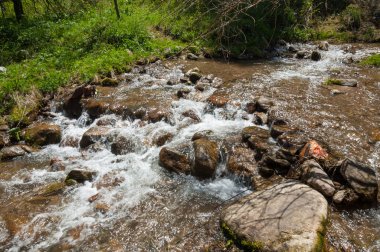 dağ park. Dağlar Almatı, Park'ın ilk Cumhurbaşkanı. Kazakistan