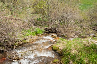 dağ park. Dağlar Almatı, Park'ın ilk Cumhurbaşkanı. Kazakistan