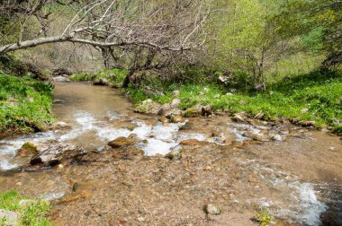 dağ park. Dağlar Almatı, Park'ın ilk Cumhurbaşkanı. Kazakistan