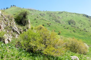dağ park. Dağlar Almatı, Park'ın ilk Cumhurbaşkanı. Kazakistan
