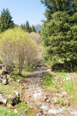 dağ park. Dağlar Almatı, Park'ın ilk Cumhurbaşkanı. Kazakistan