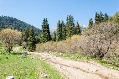 dağ park. Dağlar Almatı, Park'ın ilk Cumhurbaşkanı. Kazakistan