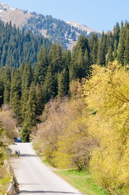 dağ park. Dağlar Almatı, Park'ın ilk Cumhurbaşkanı. Kazakistan