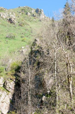 dağ park. Dağlar Almatı, Park'ın ilk Cumhurbaşkanı. Kazakistan