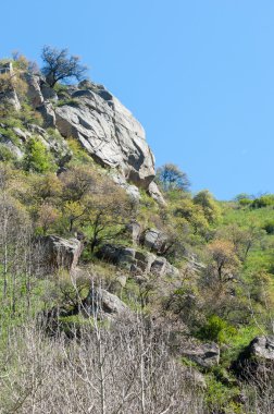dağ park. Dağlar Almatı, Park'ın ilk Cumhurbaşkanı. Kazakistan