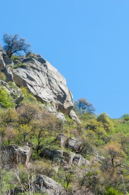 dağ park. Dağlar Almatı, Park'ın ilk Cumhurbaşkanı. Kazakistan
