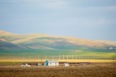 dağ bahar. Doğa popsle kış uyanır. nazik Bahar güneşi