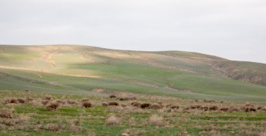 dağ bahar. Doğa popsle kış uyanır. nazik Bahar güneşi