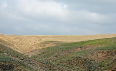 dağ bahar. Doğa popsle kış uyanır. nazik Bahar güneşi