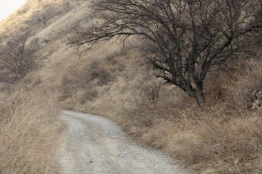 dağlar. Tien shan. Kazakistan