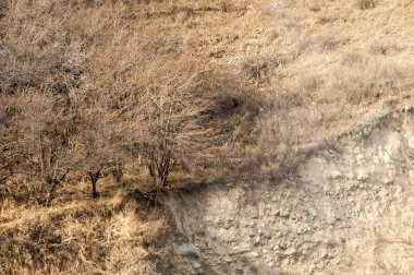 dağlar. Tien shan. Kazakistan