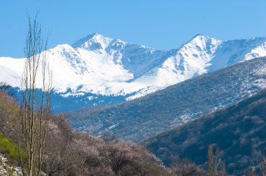Kazakistan. Tien shan. dağ manzaralı güzel manzara.