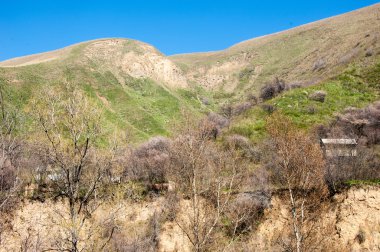 dağ bahar. Kazakistan. Tien Shan. Dağ manzaralı güzel manzara.