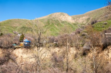 dağ bahar. Kazakistan. Tien Shan. Dağ manzaralı güzel manzara.