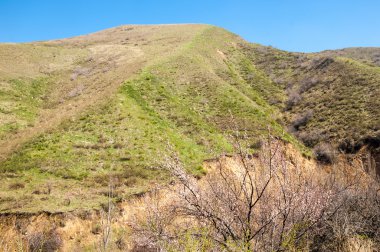 dağ bahar. Kazakistan. Tien Shan. Dağ manzaralı güzel manzara.
