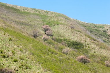 dağ bahar. Kazakistan. Tien Shan. Dağ manzaralı güzel manzara.