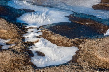 Kum doku. Vahşi doğada kum