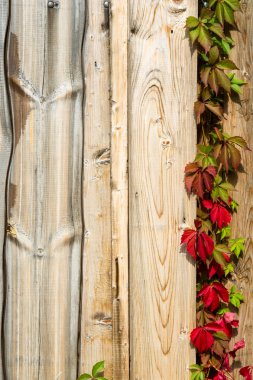 Ahşap yapı dokusuna.