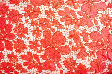 Doku. dantel kumaş. Stüdyoda fotoğraf dantel kumaş üretti