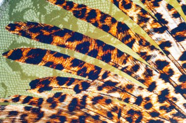 doku dantel. iyi bir açık kumaş, pamuk veya ipek, genellikle birini döngü, büküm veya desenleri iplik örgü tarafından yapılan ve özellikle hazır giyim süsleme için kullanılan.