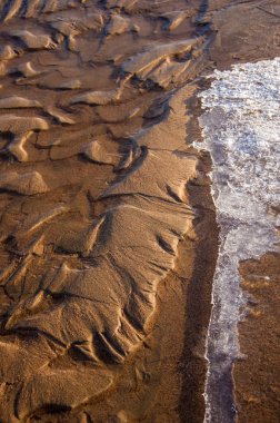 Kum doku. Vahşi doğada kum