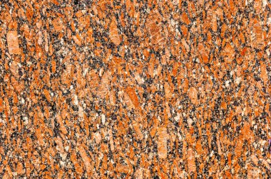 doku taş. içinde belgili tanımlık vahşi fotoğrafı