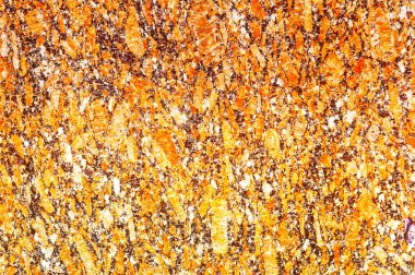 doku taş. içinde belgili tanımlık vahşi fotoğrafı