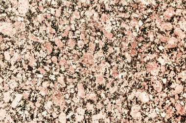 doku taş. içinde belgili tanımlık vahşi fotoğrafı