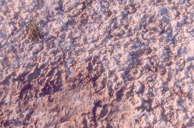 Toprak tuz doku. Kuraklık ve parlak güneşin oluşturulan çatlaklar toprağa