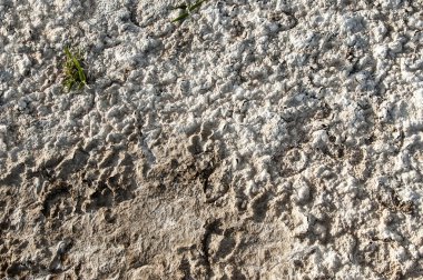 Toprak tuz doku. Kuraklık ve parlak güneşin oluşturulan çatlaklar toprağa