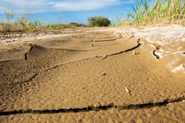 Çatlaklar zemin dokusuna. Dünya parlak güneşin altında kırık