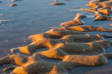 Kum doku. Vahşi doğada kum