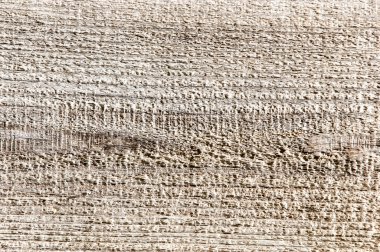 Eski ahşabın dokusu