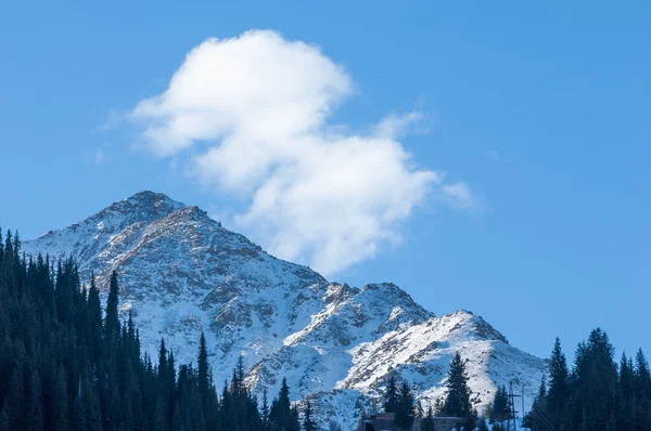 Kazakistan Tien Shan Dağ Manzaralı Güzel Manzara — Stok fotoğraf