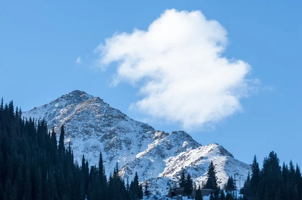 Tien Shan. — Stok fotoğraf